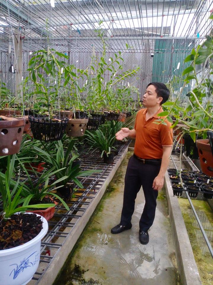 &Ocirc;ng chủ vườn lan 7X Mạnh H&ugrave;ng chia sẻ kinh nghiệm trồng hoa lan - Ảnh 4.