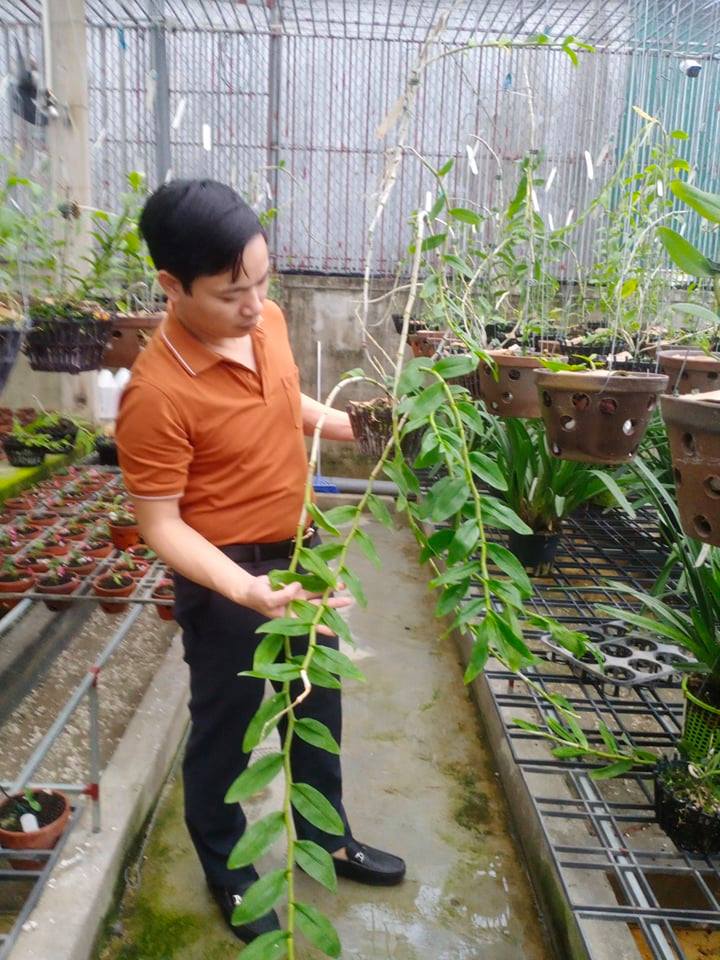 &Ocirc;ng chủ vườn lan 7X Mạnh H&ugrave;ng chia sẻ kinh nghiệm trồng hoa lan - Ảnh 2.