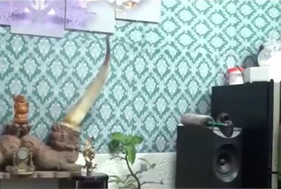 Bộ Y tế không chấp nhận báo cáo của Giám đốc Bệnh viện Tâm thần Trung ương I