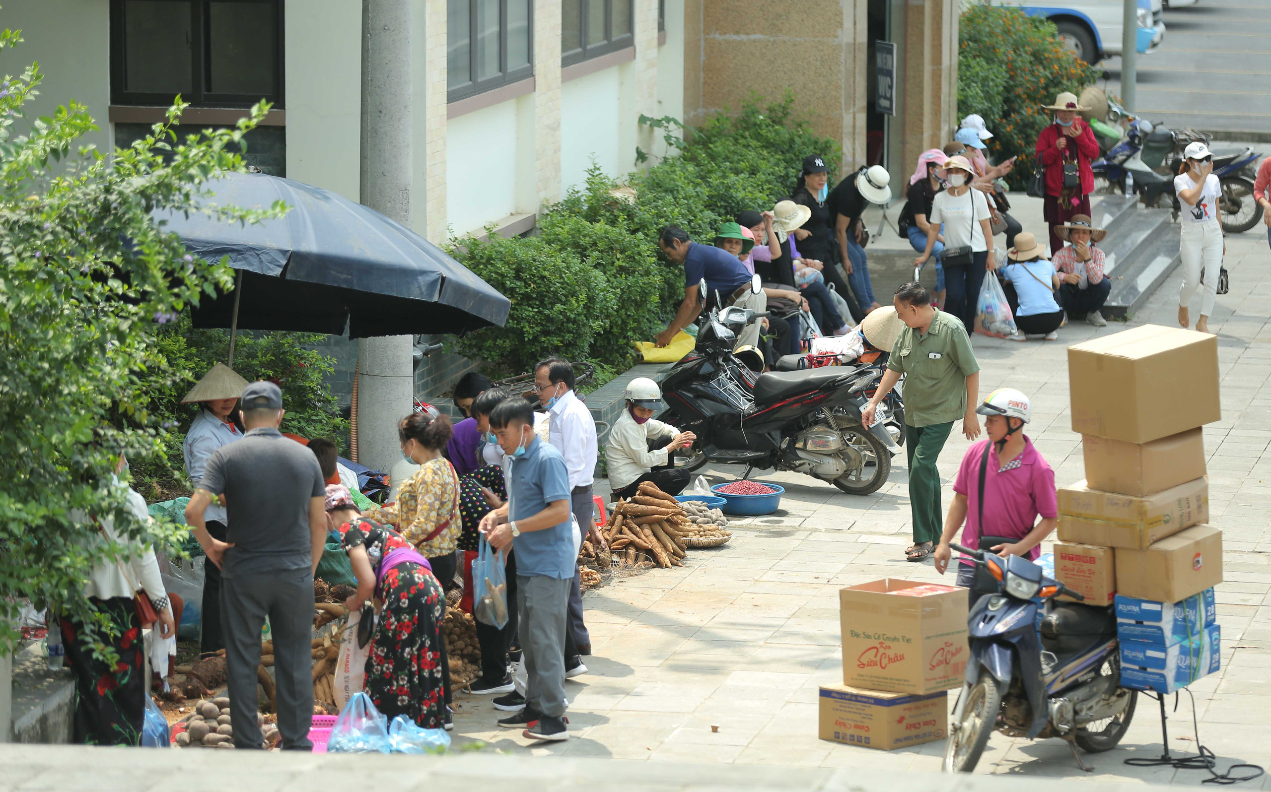 Khoảng 20 ngàn người hành hương về Đền Hùng trong ngày Giỗ Tổ - Ảnh 23.