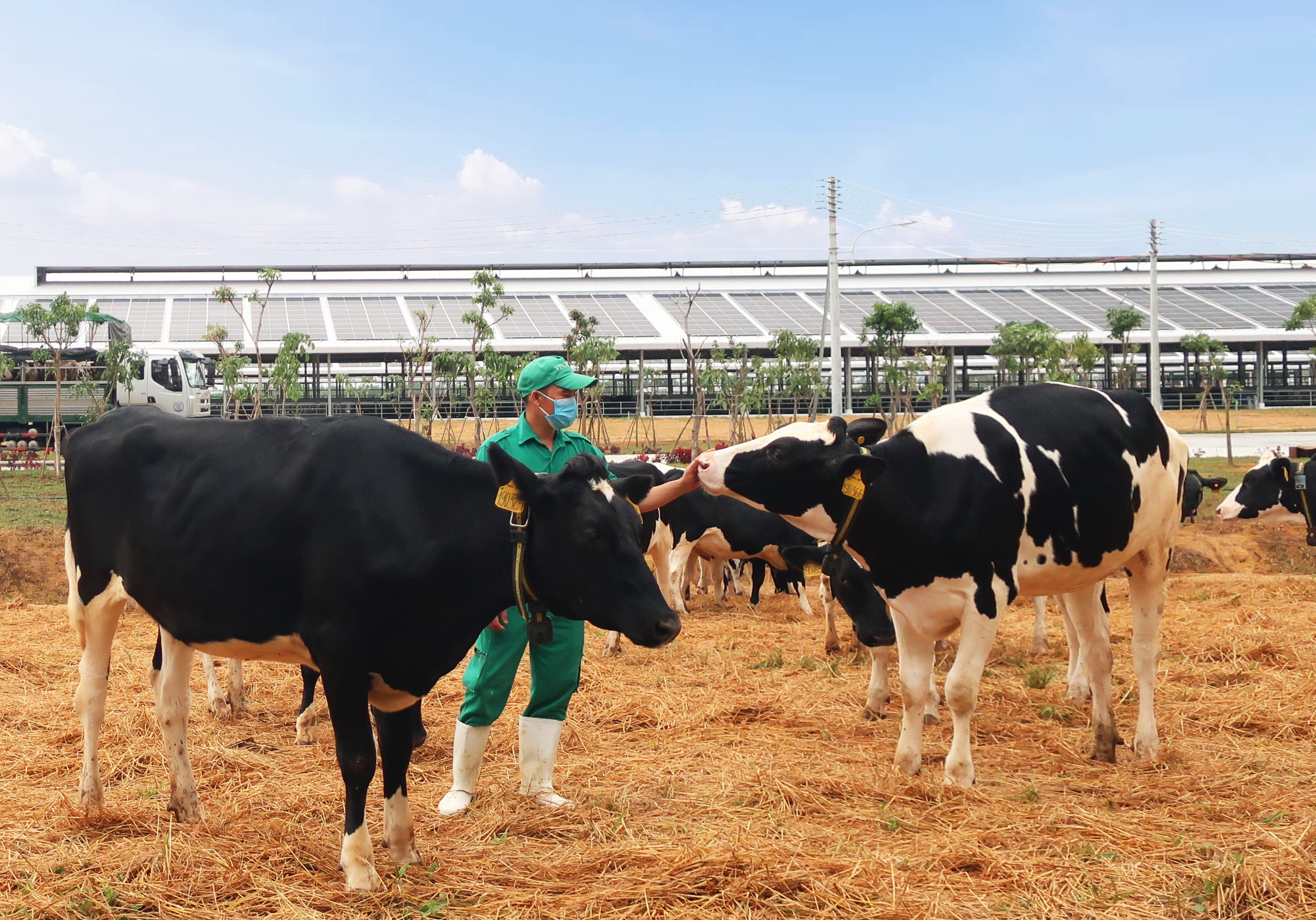 Vinamilk li&ecirc;n tiếp thăng hạng trong top 50 c&ocirc;ng ty sữa h&agrave;ng đầu thế giới - Ảnh 3.