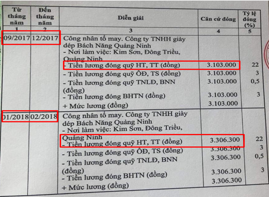 Ra mắt c&ocirc;ng cụ t&iacute;nh tiền bảo hiểm x&atilde; hội một lần nhanh ch&oacute;ng - Ảnh 1.