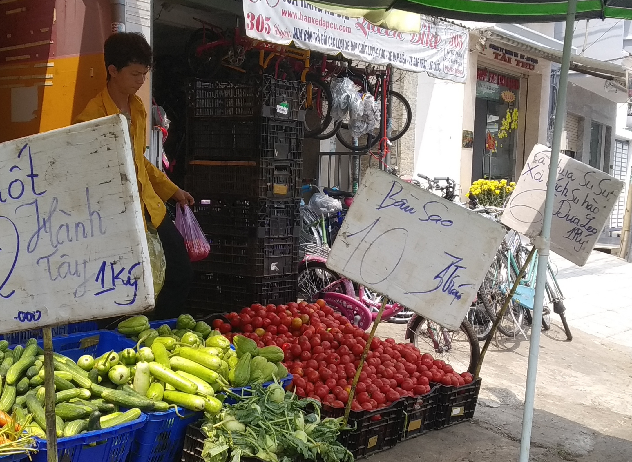 Ngỡ ng&agrave;ng với loại c&agrave; chua L&acirc;m Đồng gi&aacute; nửa triệu đồng/kg - Ảnh 1.