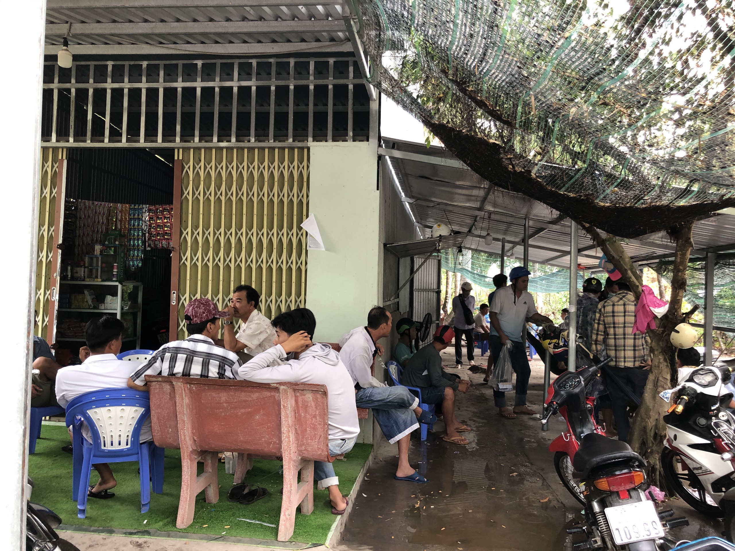 Phá trường gà do “Út trọc” Gò Công Đông cầm đầu, mỗi ngày đá 10-12 trận - Ảnh 4.