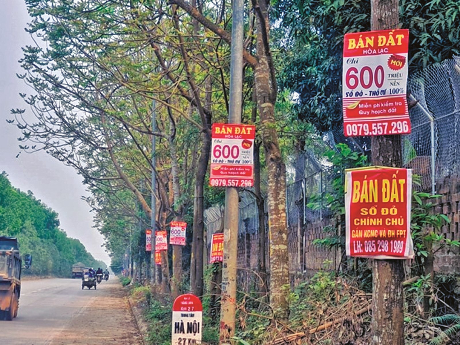 Nhà đầu tư nước ngoài nghĩ gì về sốt đất ở Việt Nam?