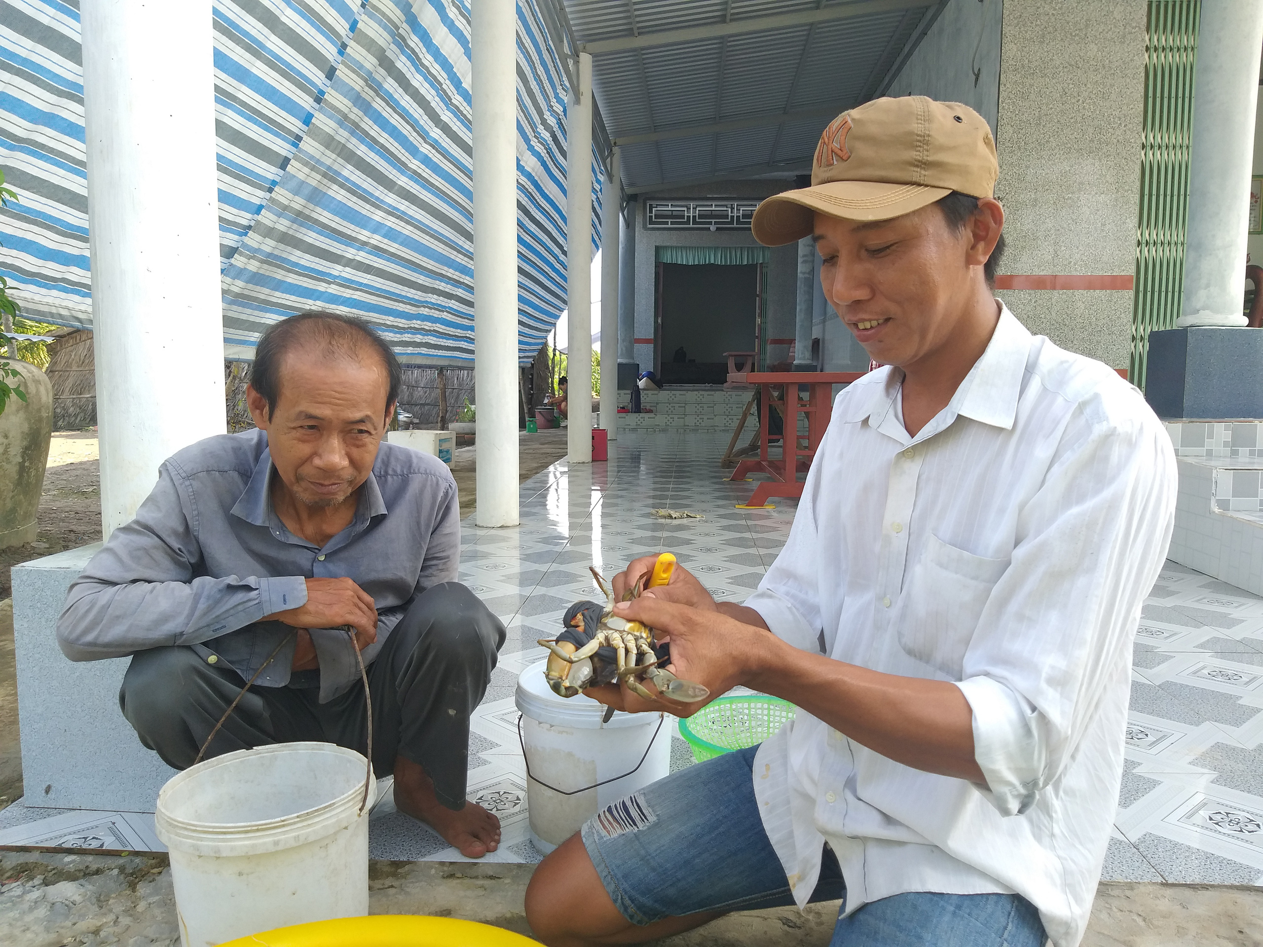 Trước lễ 30-4 v&agrave; 1-5, gi&aacute; cua gạch ngon nhất miền T&acirc;y nhảy m&uacute;a đến 800.000 đồng/kg - Ảnh 2.