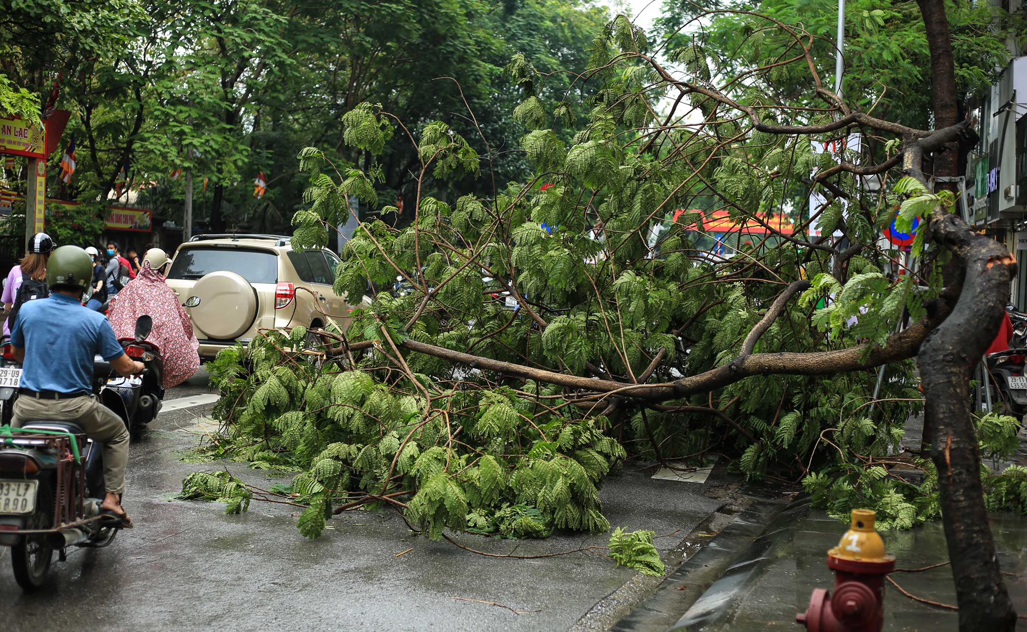 CLIP: Nhọc nhằn nh&iacute;ch từng bước dưới cơn mưa k&eacute;o d&agrave;i trong giờ đi l&agrave;m đầu tuần - Ảnh 13.
