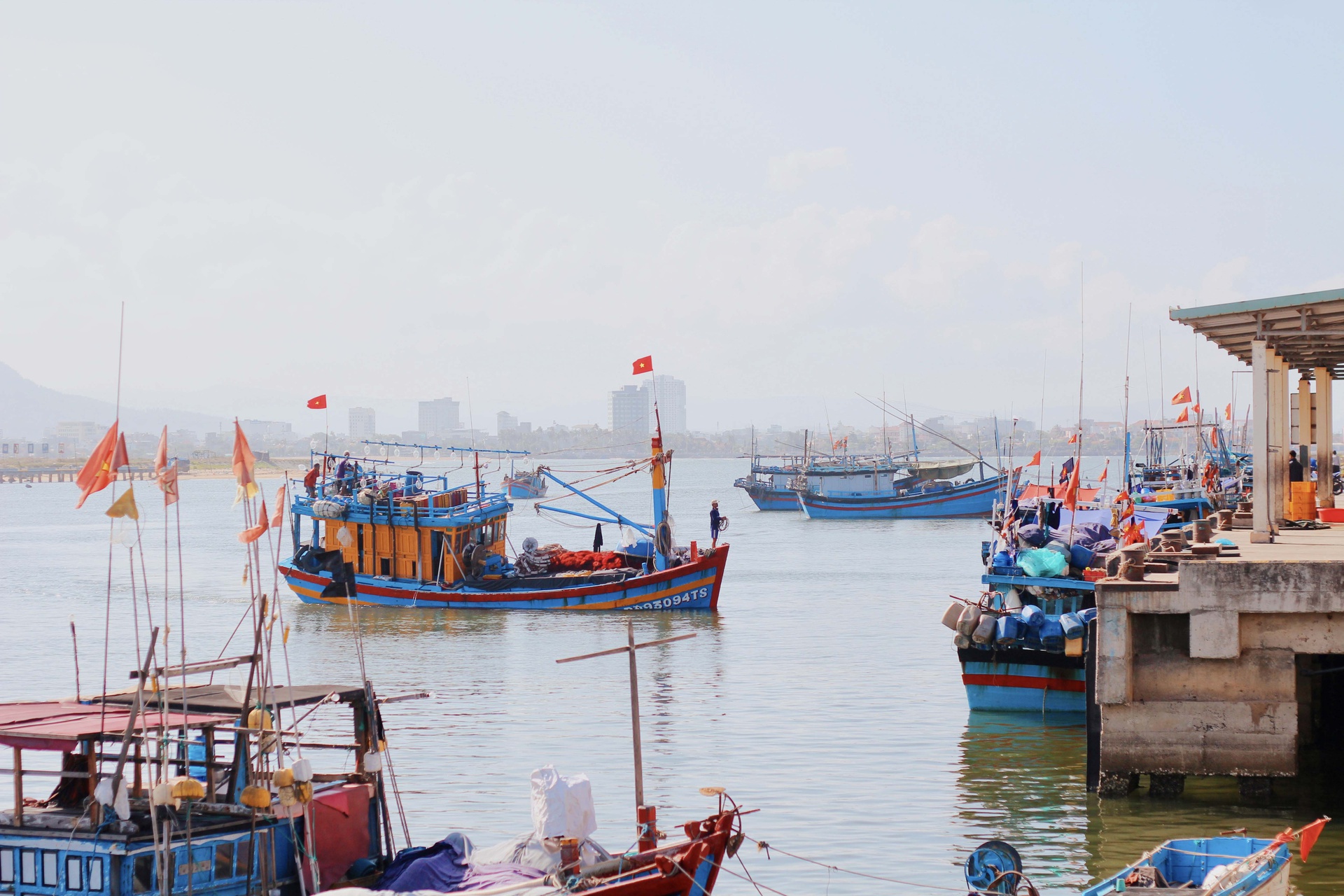 Ph&uacute; Y&ecirc;n kh&ocirc;ng chỉ c&oacute; hoa v&agrave;ng tr&ecirc;n cỏ xanh - Ảnh 11.