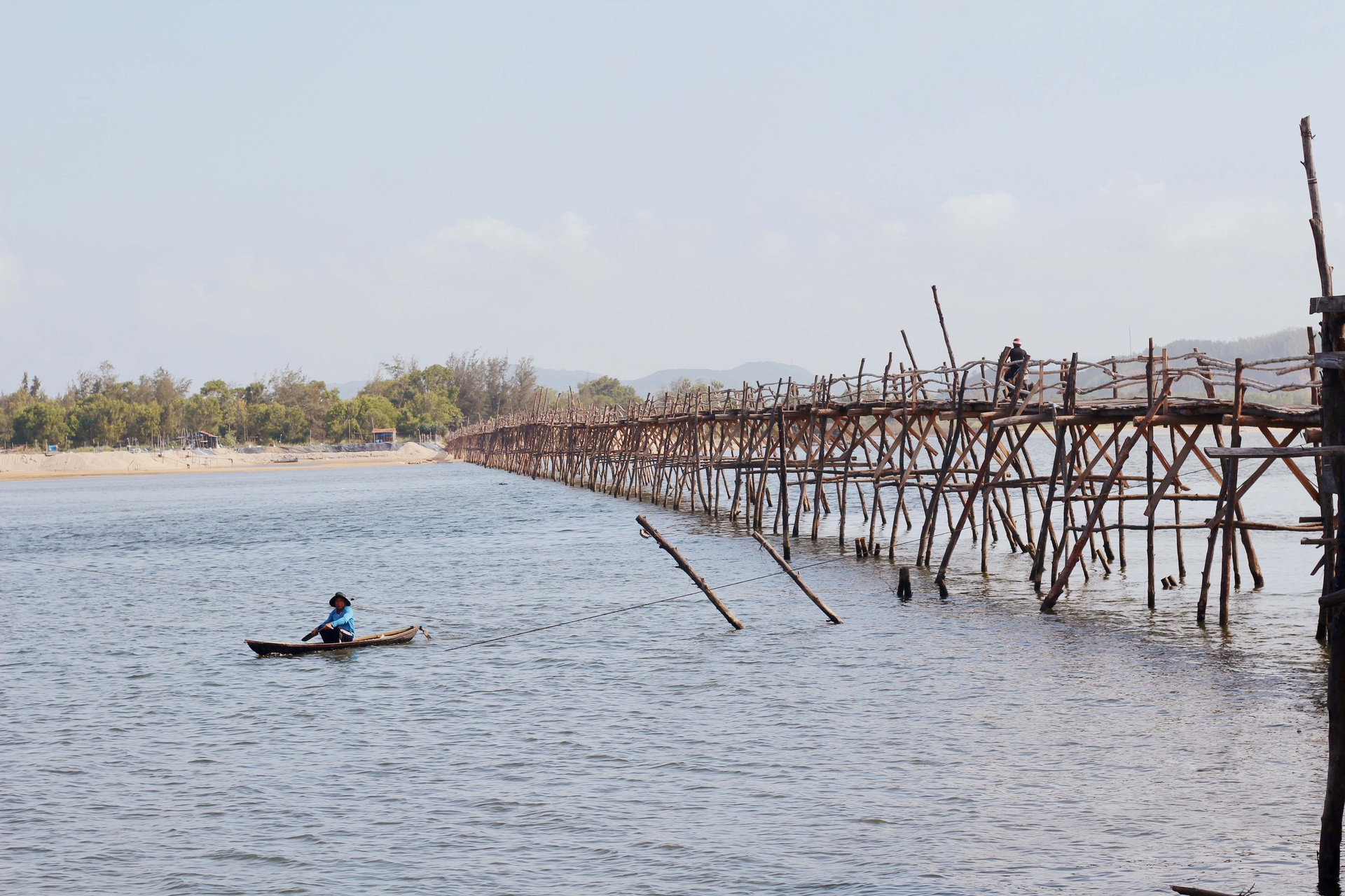 Ph&uacute; Y&ecirc;n kh&ocirc;ng chỉ c&oacute; hoa v&agrave;ng tr&ecirc;n cỏ xanh - Ảnh 14.