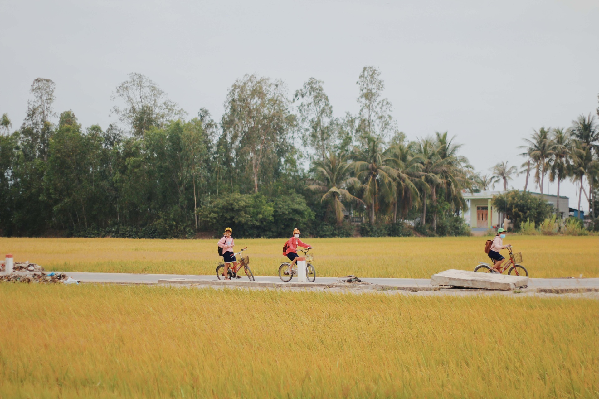 Ph&uacute; Y&ecirc;n kh&ocirc;ng chỉ c&oacute; hoa v&agrave;ng tr&ecirc;n cỏ xanh - Ảnh 22.