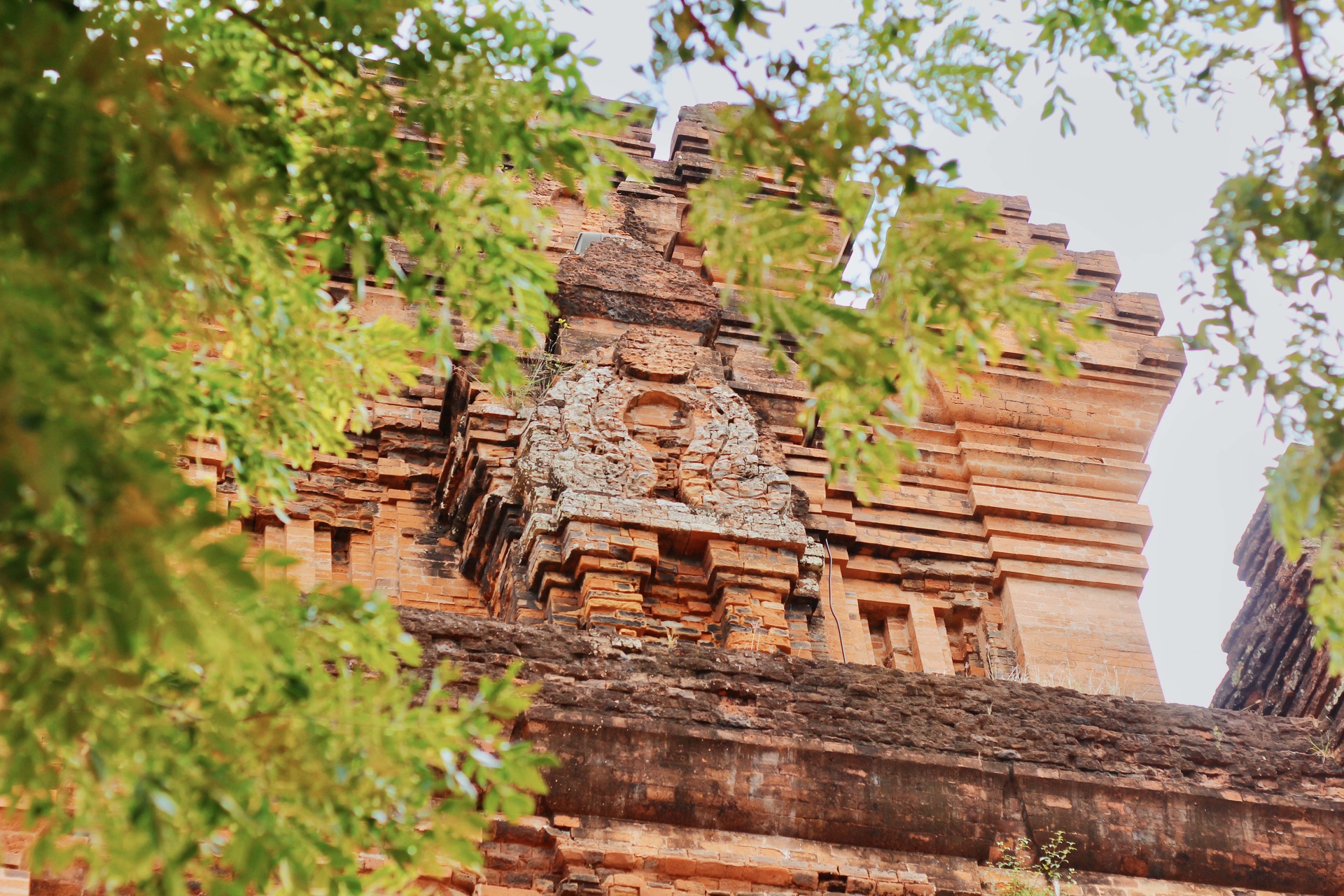 Phú Yên không chỉ có 'hoa vàng trên cỏ xanh'