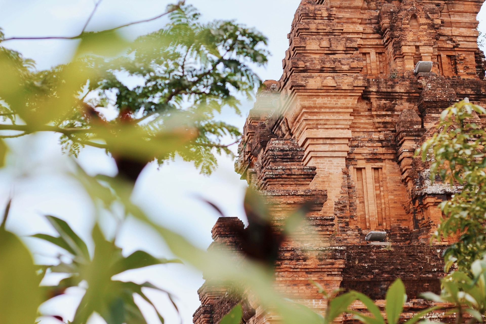 Ph&uacute; Y&ecirc;n kh&ocirc;ng chỉ c&oacute; hoa v&agrave;ng tr&ecirc;n cỏ xanh - Ảnh 25.