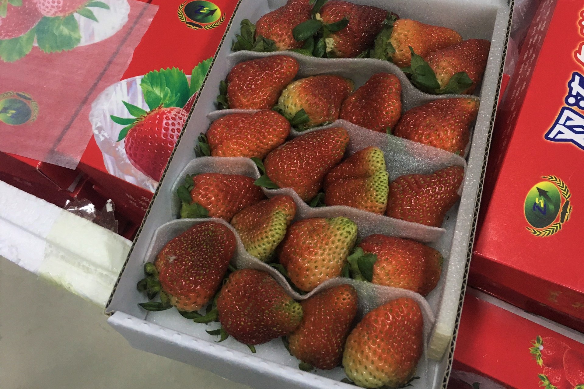 Ph&aacute;t hiện l&ocirc; d&acirc;u t&acirc;y Trung Quốc nhập lậu v&agrave;o Đ&agrave; Lạt bằng đường h&agrave;ng kh&ocirc;ng - Ảnh 1.