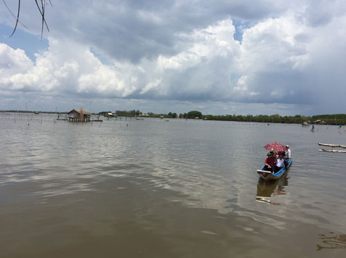 Lạc giữa đầm Bà Tường