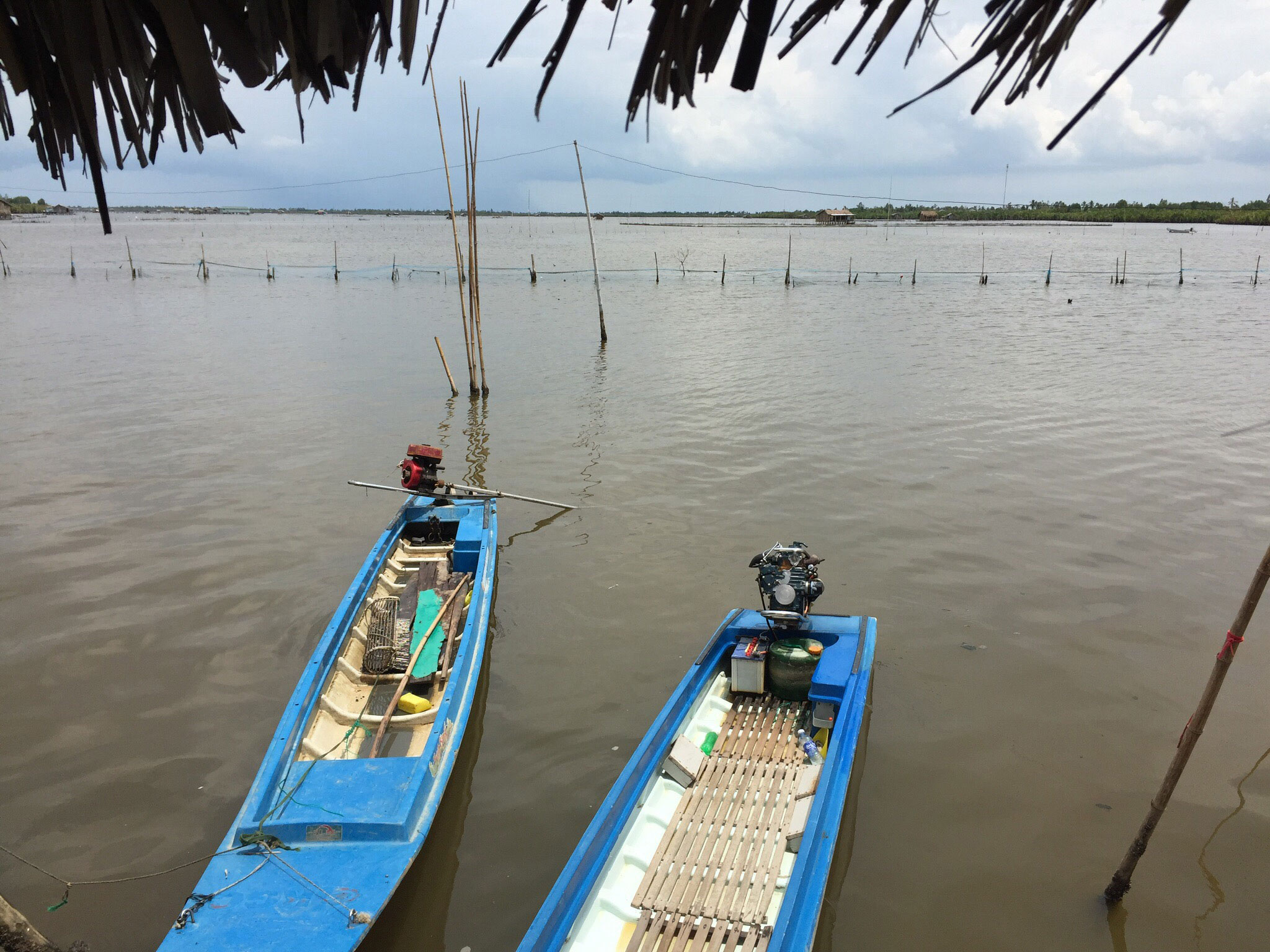 Lạc giữa đầm Bà Tường - Ảnh 4.
