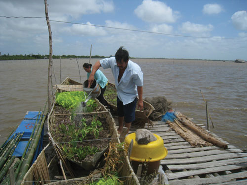 Lạc giữa đầm Bà Tường - Ảnh 3.