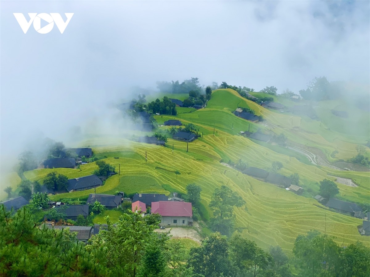 Ngắm Ho&agrave;ng Su Ph&igrave; đẹp tựa ti&ecirc;n cảnh khi bước v&agrave;o m&ugrave;a v&agrave;ng - Ảnh 1.