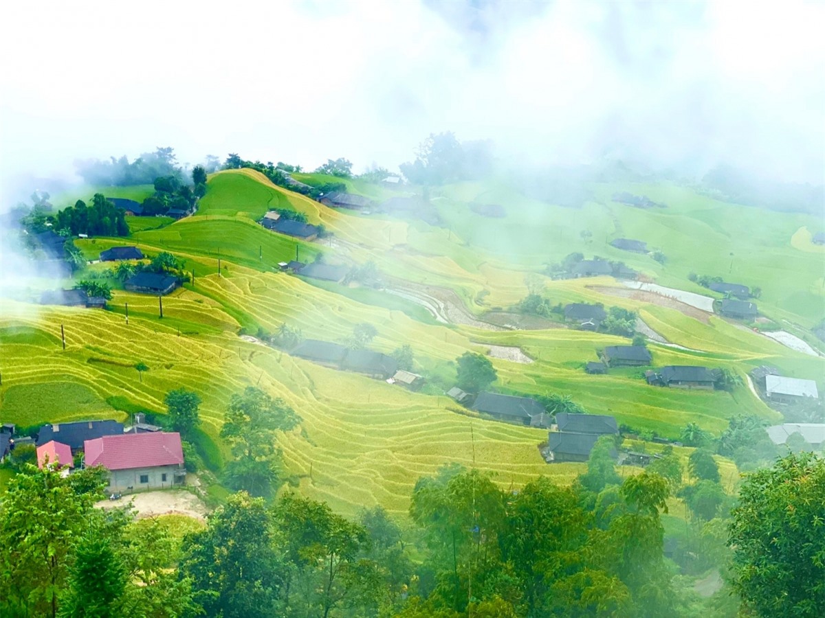 Ngắm Ho&agrave;ng Su Ph&igrave; đẹp tựa ti&ecirc;n cảnh khi bước v&agrave;o m&ugrave;a v&agrave;ng - Ảnh 2.