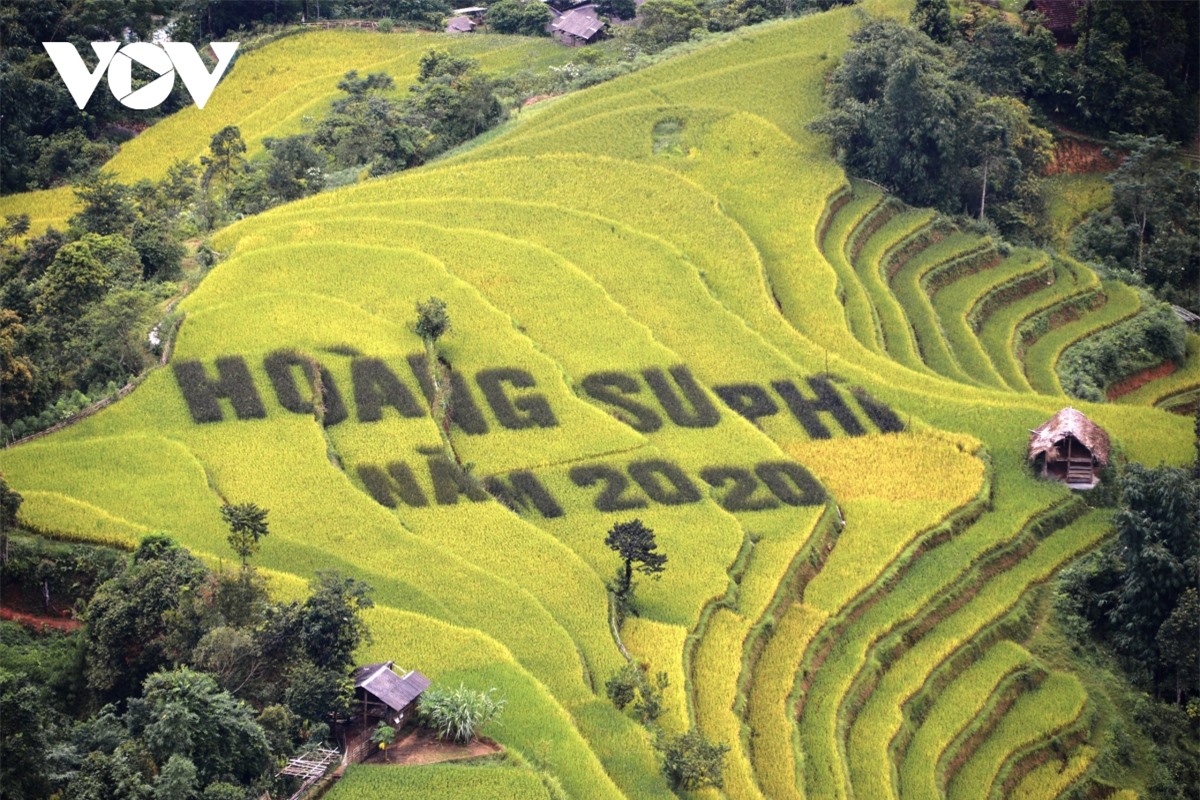 Ngắm Hoàng Su Phì đẹp tựa tiên cảnh khi bước vào mùa vàng
