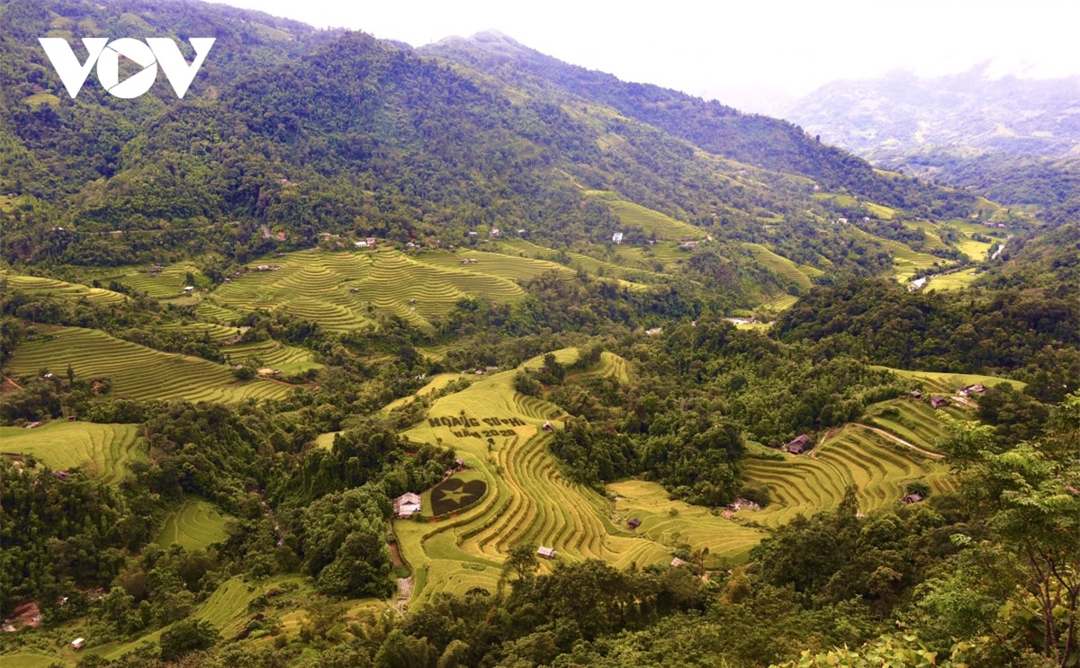 Ngắm Ho&agrave;ng Su Ph&igrave; đẹp tựa ti&ecirc;n cảnh khi bước v&agrave;o m&ugrave;a v&agrave;ng - Ảnh 18.