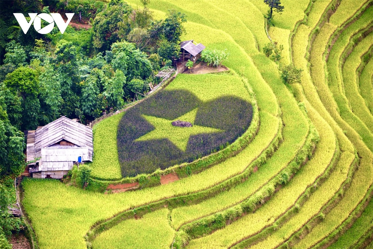 Ngắm Ho&agrave;ng Su Ph&igrave; đẹp tựa ti&ecirc;n cảnh khi bước v&agrave;o m&ugrave;a v&agrave;ng - Ảnh 20.