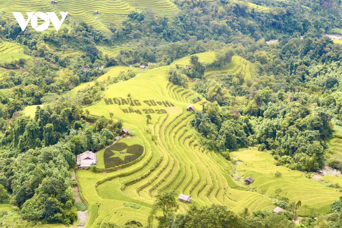 Ngắm Ho&agrave;ng Su Ph&igrave; đẹp tựa ti&ecirc;n cảnh khi bước v&agrave;o m&ugrave;a v&agrave;ng - Ảnh 21.