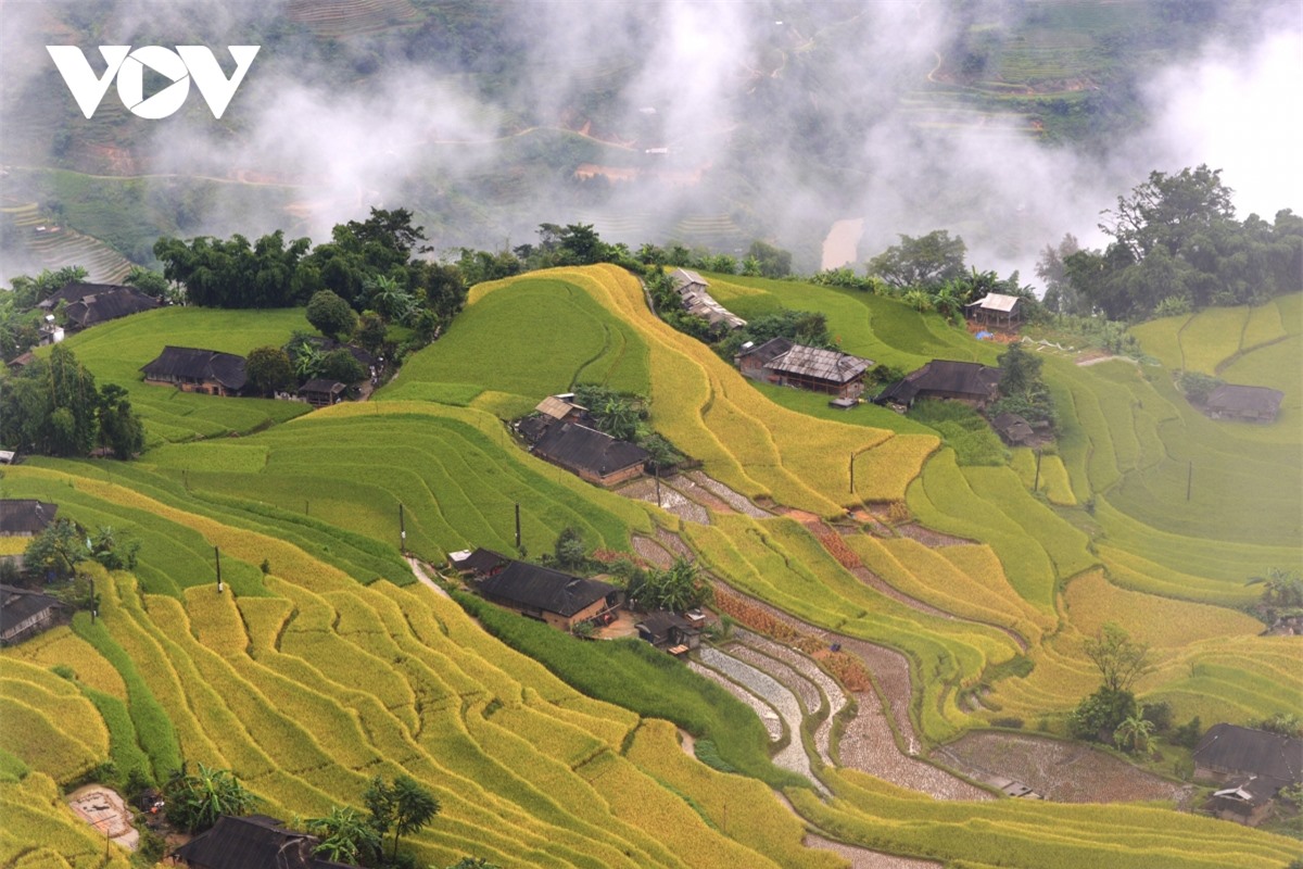 Ngắm Ho&agrave;ng Su Ph&igrave; đẹp tựa ti&ecirc;n cảnh khi bước v&agrave;o m&ugrave;a v&agrave;ng - Ảnh 5.