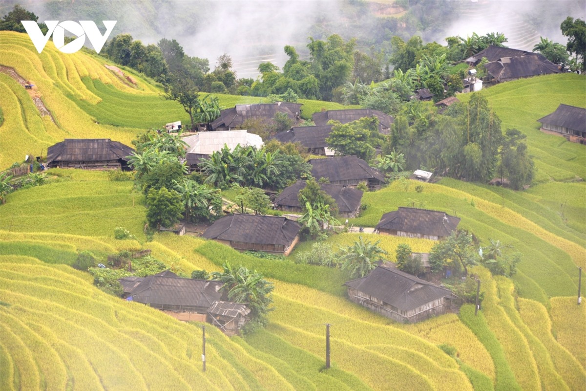 Ngắm Ho&agrave;ng Su Ph&igrave; đẹp tựa ti&ecirc;n cảnh khi bước v&agrave;o m&ugrave;a v&agrave;ng - Ảnh 6.