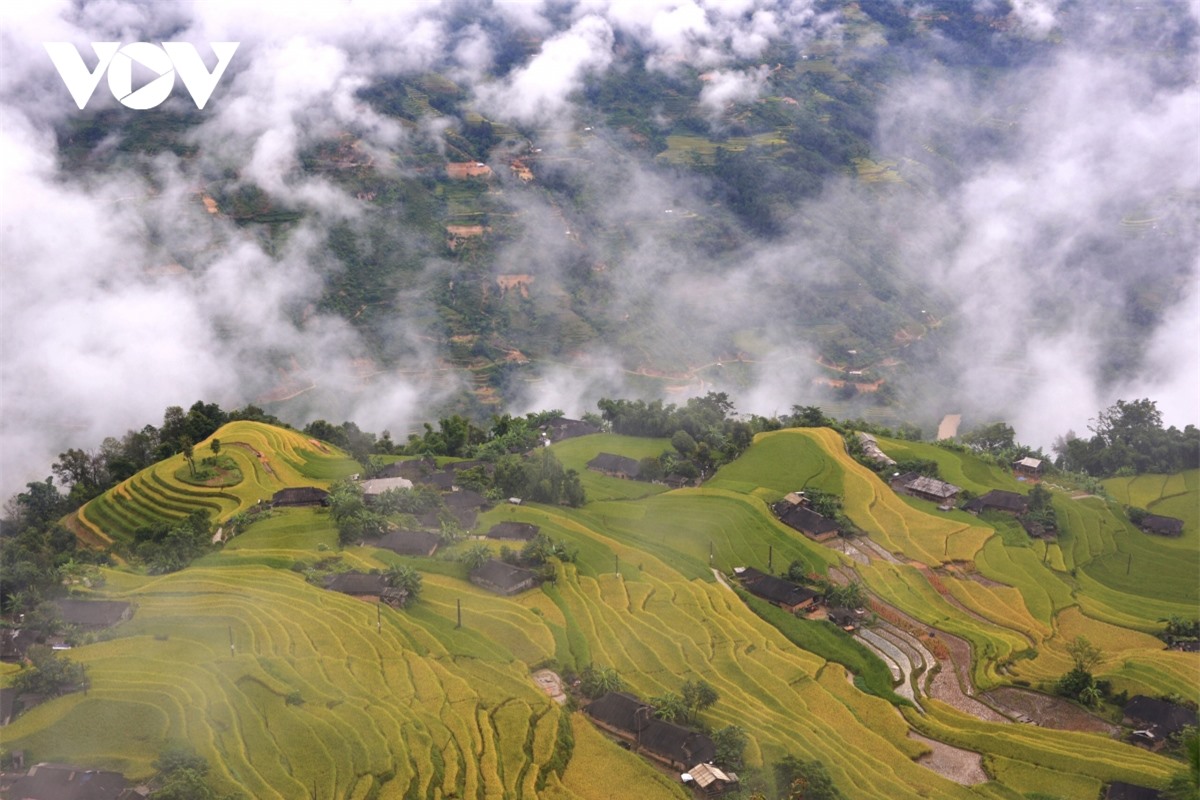 Ngắm Ho&agrave;ng Su Ph&igrave; đẹp tựa ti&ecirc;n cảnh khi bước v&agrave;o m&ugrave;a v&agrave;ng - Ảnh 8.