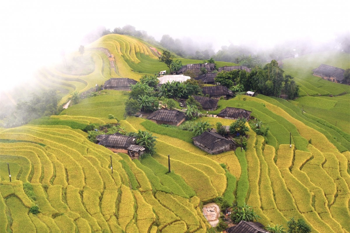 Ngắm Ho&agrave;ng Su Ph&igrave; đẹp tựa ti&ecirc;n cảnh khi bước v&agrave;o m&ugrave;a v&agrave;ng - Ảnh 9.