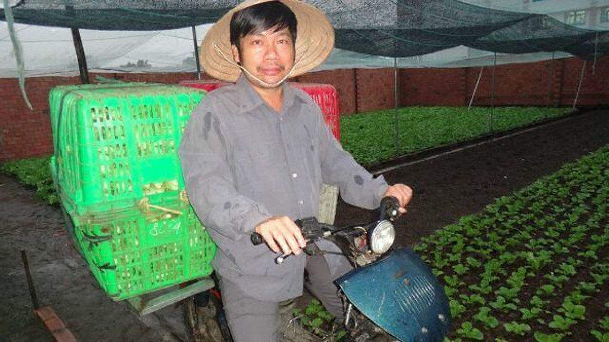 Ông Nguyễn Hoài Nam bị bắt khi nào?