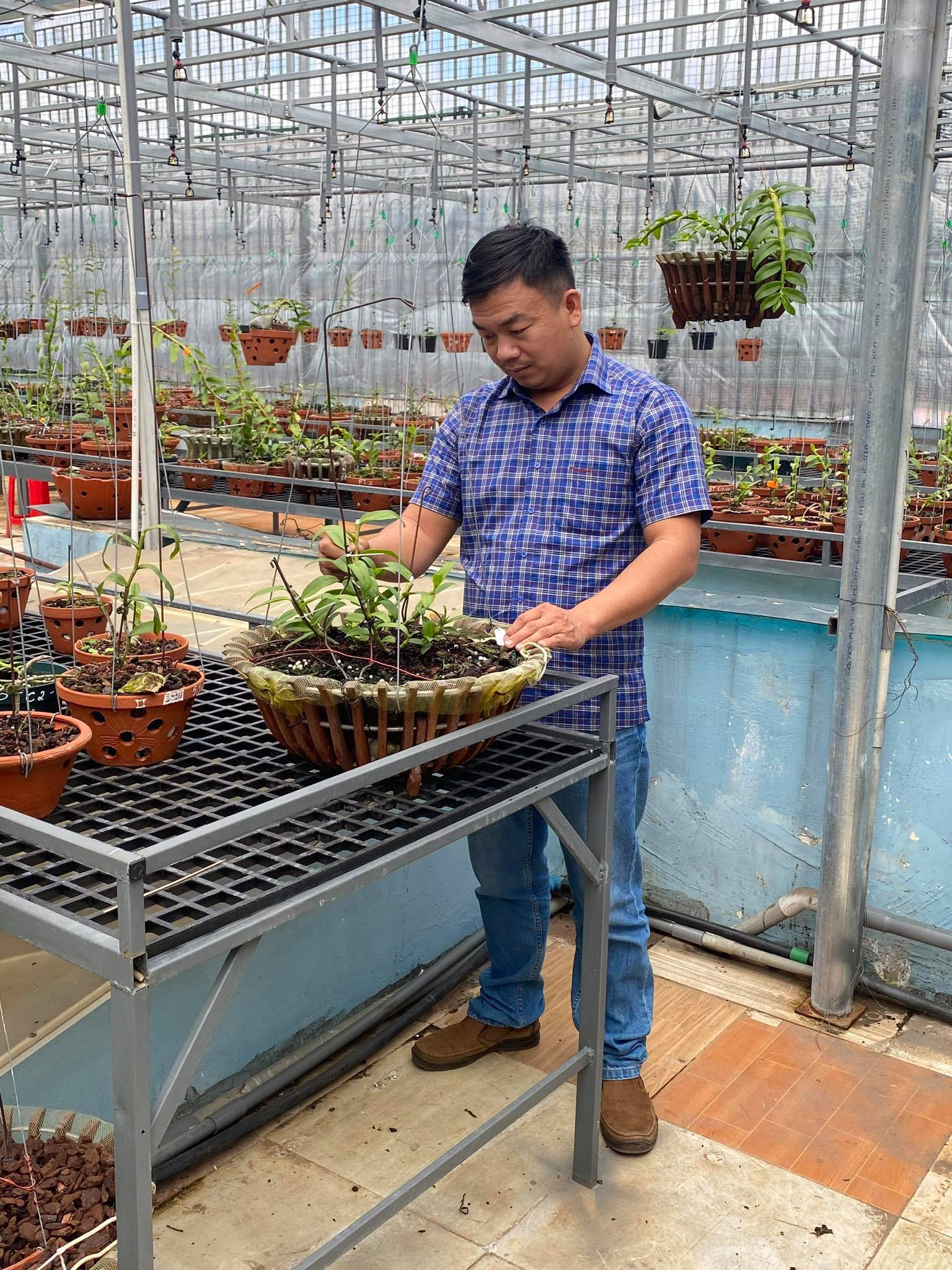 &Ocirc;ng chủ vườn lan Phạm Đ&igrave;nh Đ&ocirc; chia sẻ về gi&aacute; trị lan đột biến - Ảnh 5.
