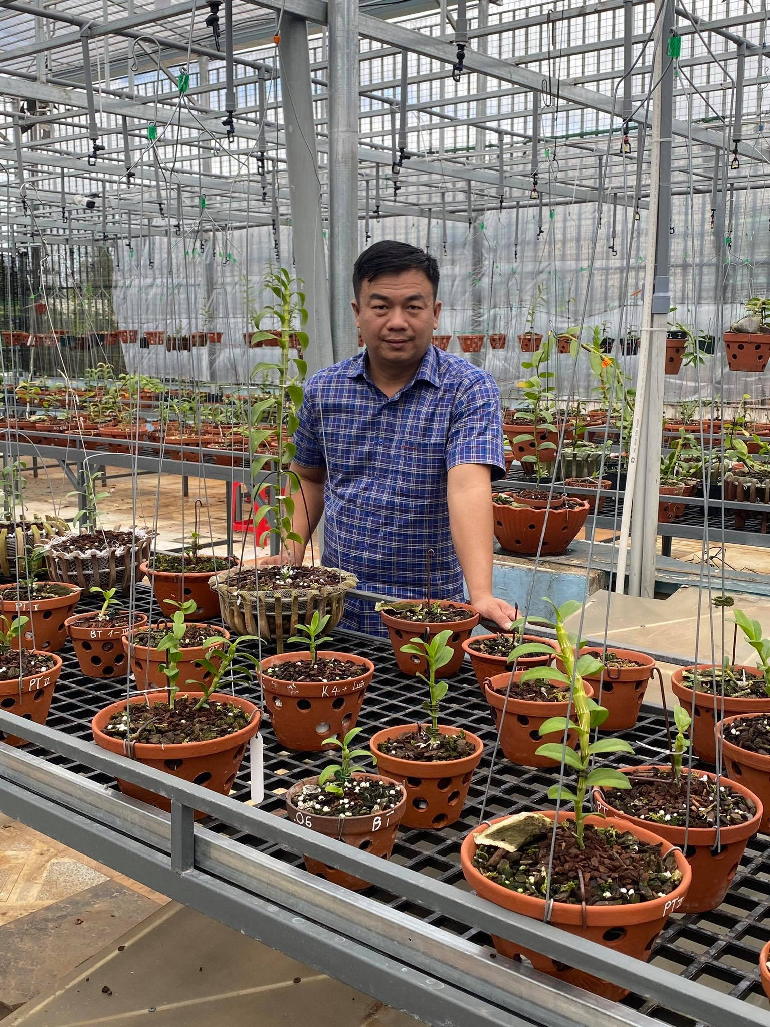 Ông chủ vườn lan Phạm Đình Đô chia sẻ về giá trị lan đột biến