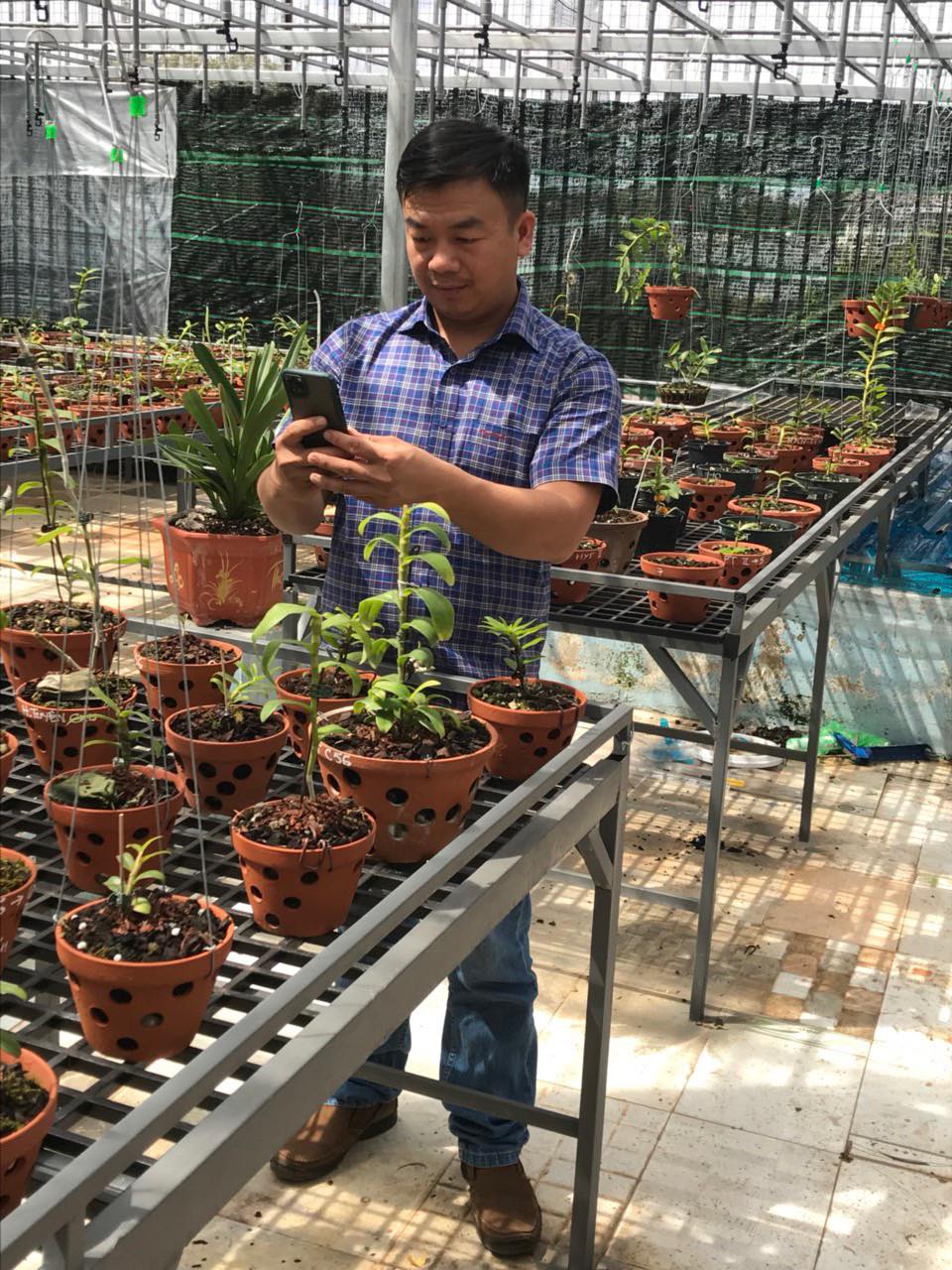&Ocirc;ng chủ vườn lan Phạm Đ&igrave;nh Đ&ocirc; chia sẻ về gi&aacute; trị lan đột biến - Ảnh 8.