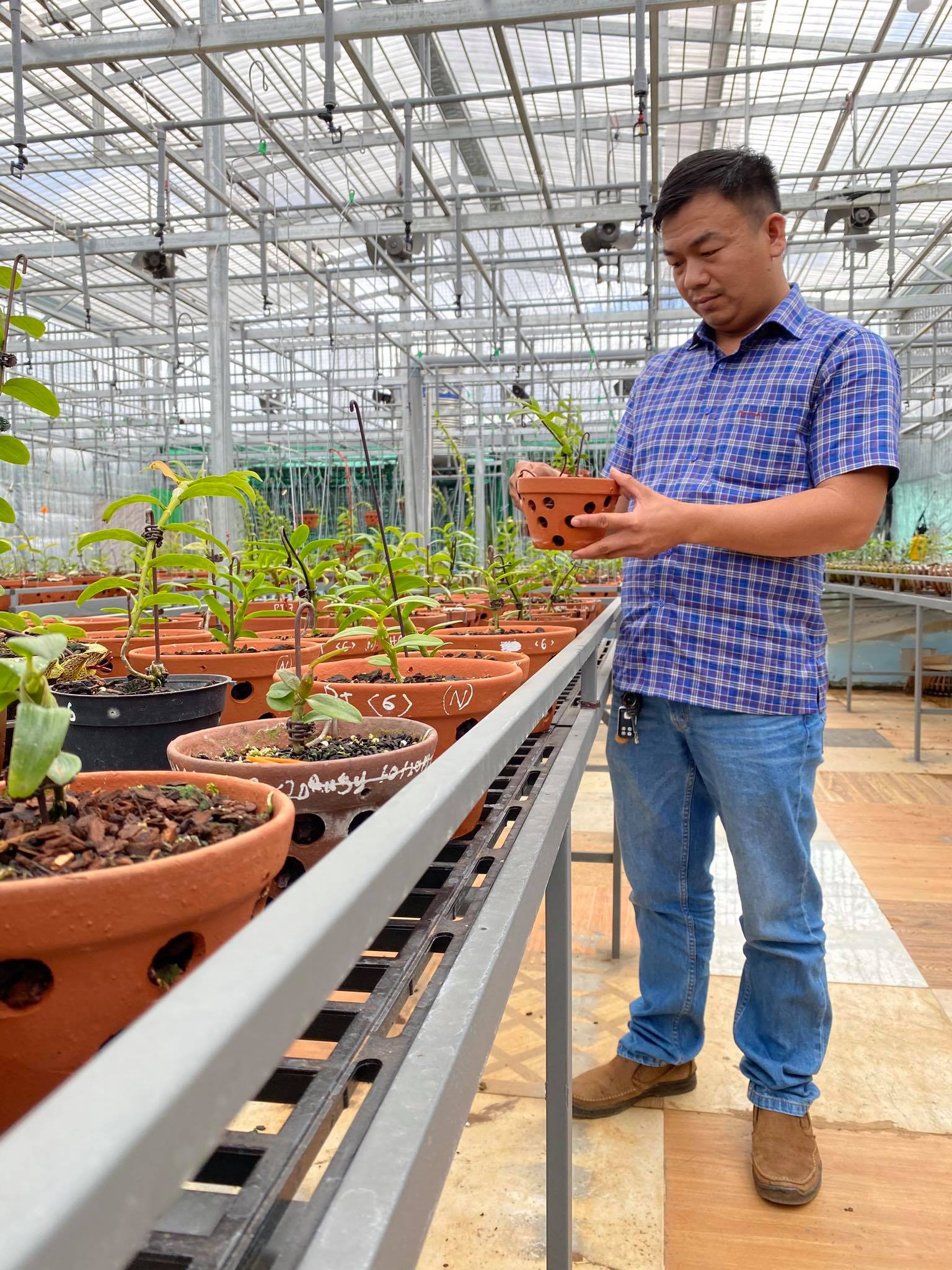 &Ocirc;ng chủ vườn lan Phạm Đ&igrave;nh Đ&ocirc; chia sẻ về gi&aacute; trị lan đột biến - Ảnh 3.