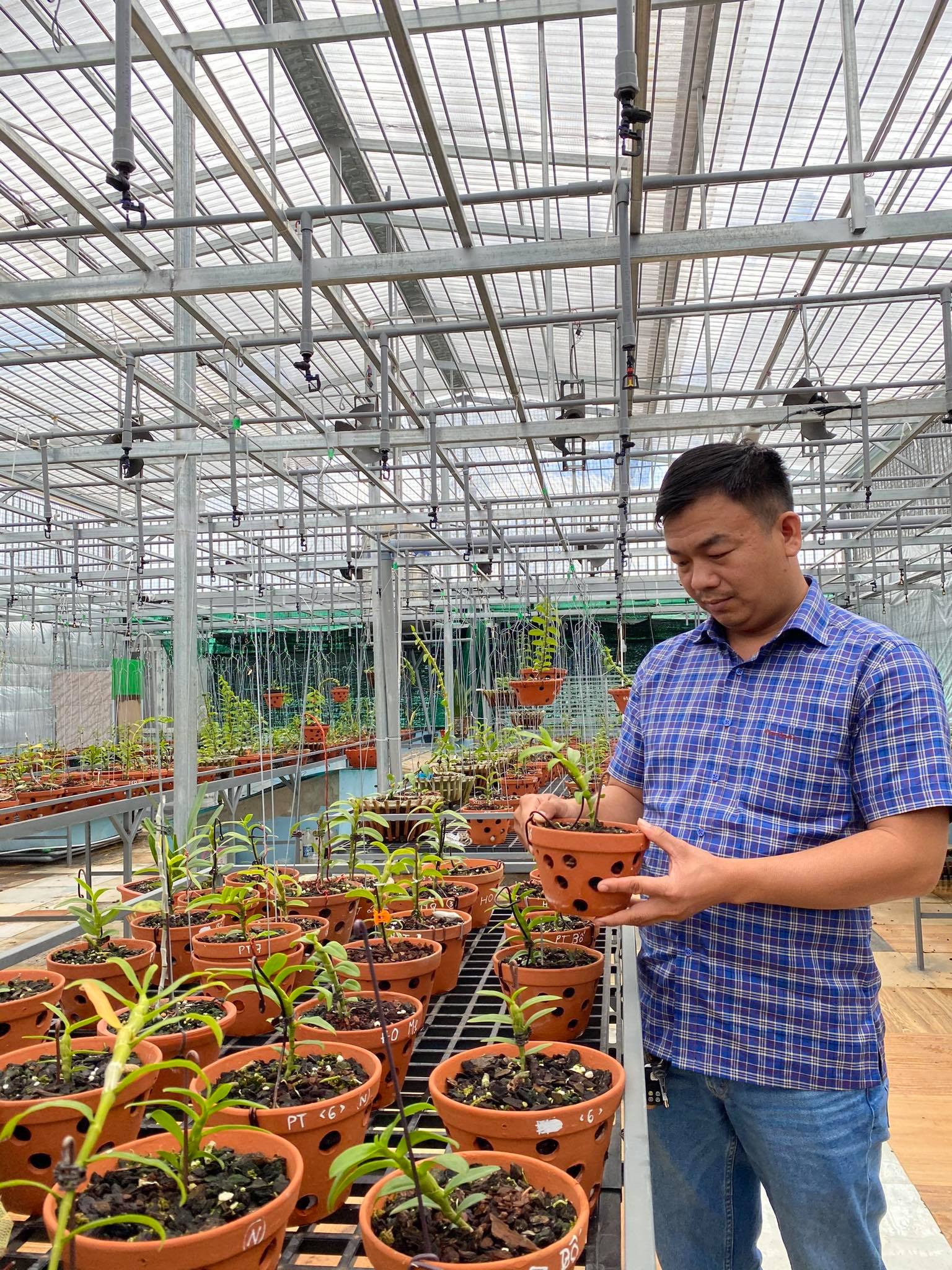 &Ocirc;ng chủ vườn lan Phạm Đ&igrave;nh Đ&ocirc; chia sẻ về gi&aacute; trị lan đột biến - Ảnh 4.