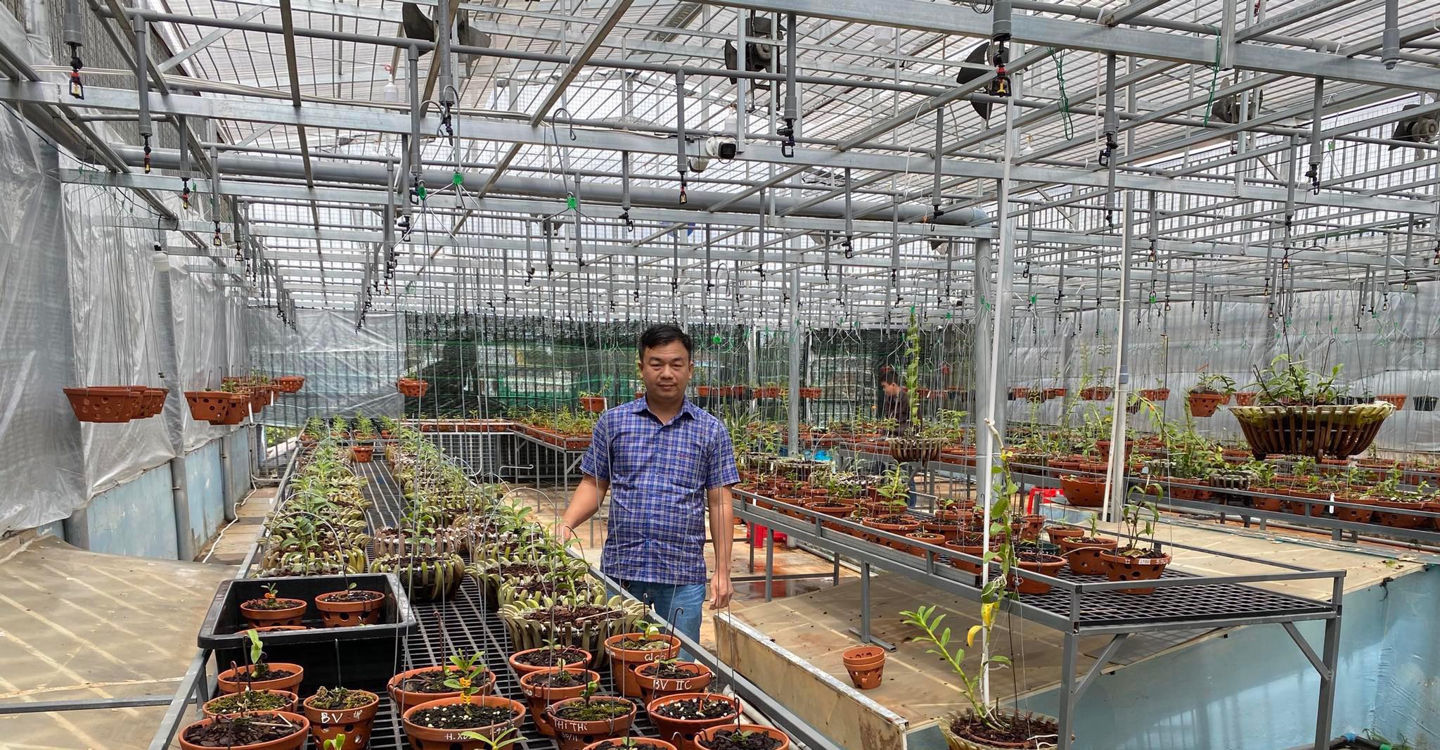 &Ocirc;ng chủ vườn lan Phạm Đ&igrave;nh Đ&ocirc; chia sẻ về gi&aacute; trị lan đột biến - Ảnh 6.