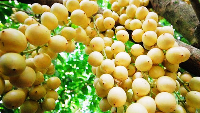 Những điểm đến l&yacute; tưởng ở Cần Thơ dịp lễ 30-4 v&agrave; 1-5 - Ảnh 19.