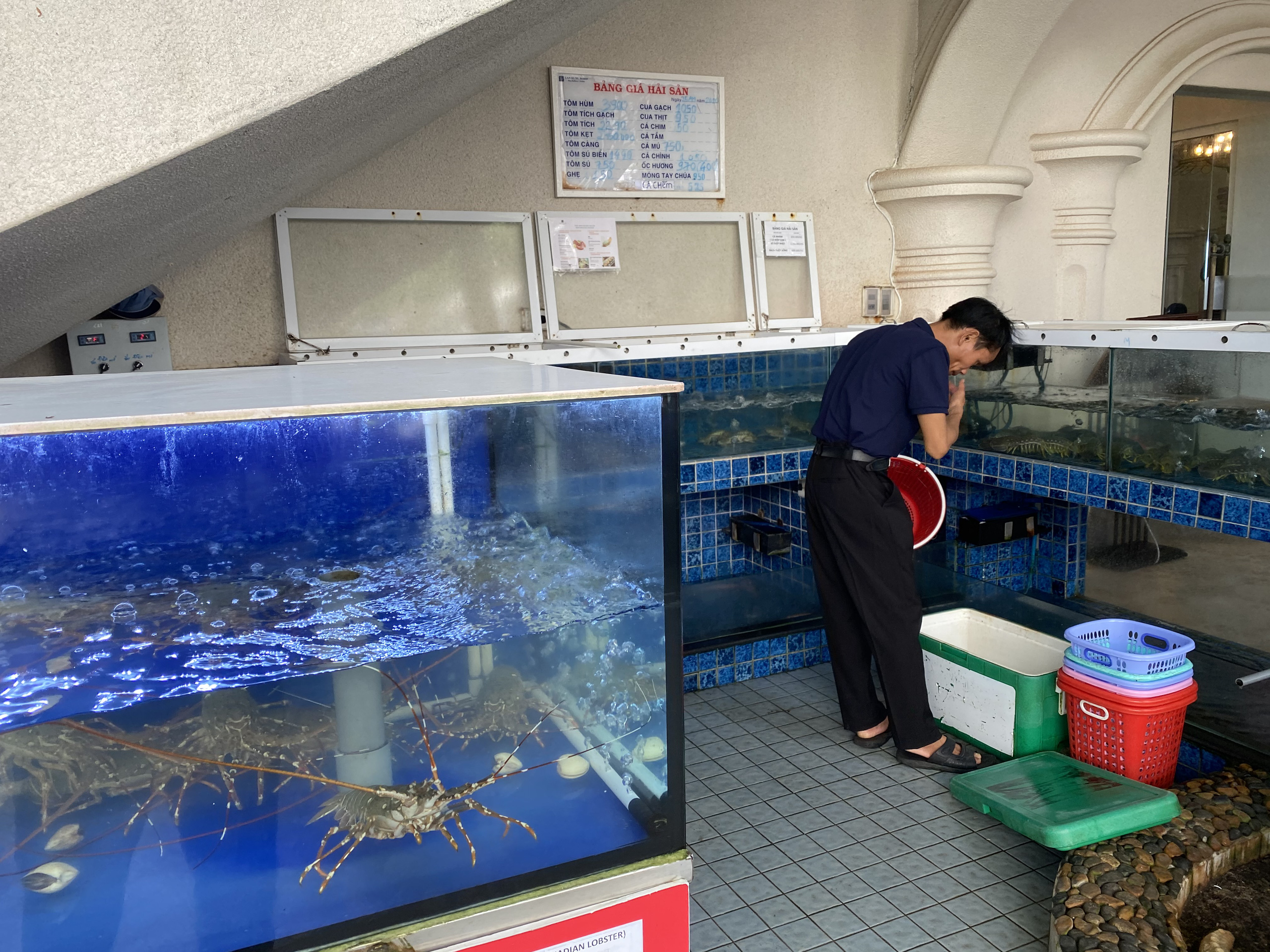 Du khách đổ về Bà Rịa - Vũng Tàu ăn hải sản, giá cả tăng vọt - Ảnh 1.