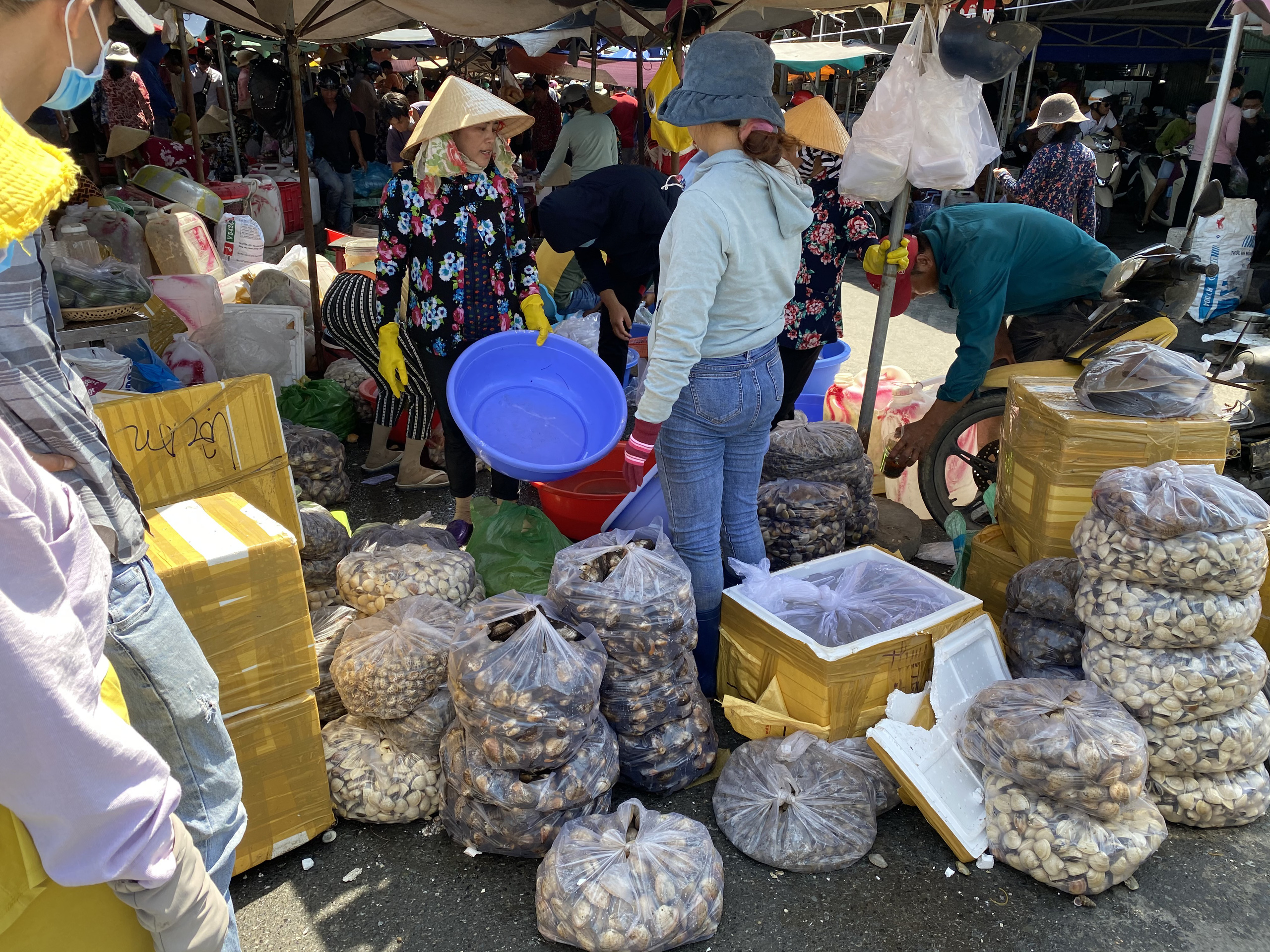 Du khách đổ về Bà Rịa - Vũng Tàu ăn hải sản, giá cả tăng vọt - Ảnh 2.