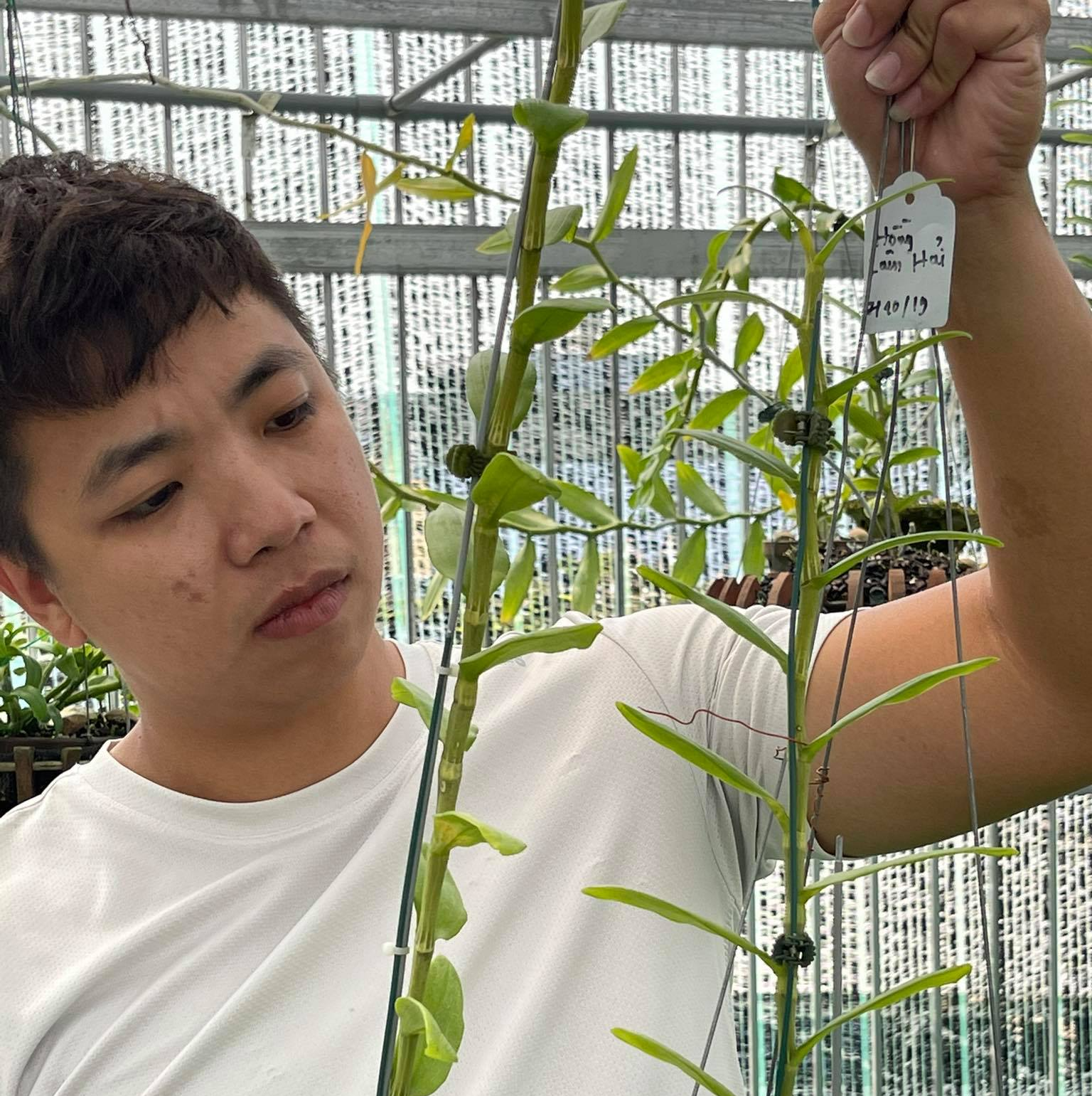 Ông chủ vườn lan Huỳnh Vũ: Từ chàng trai trông xe đến gia tài hoa lan giá trị