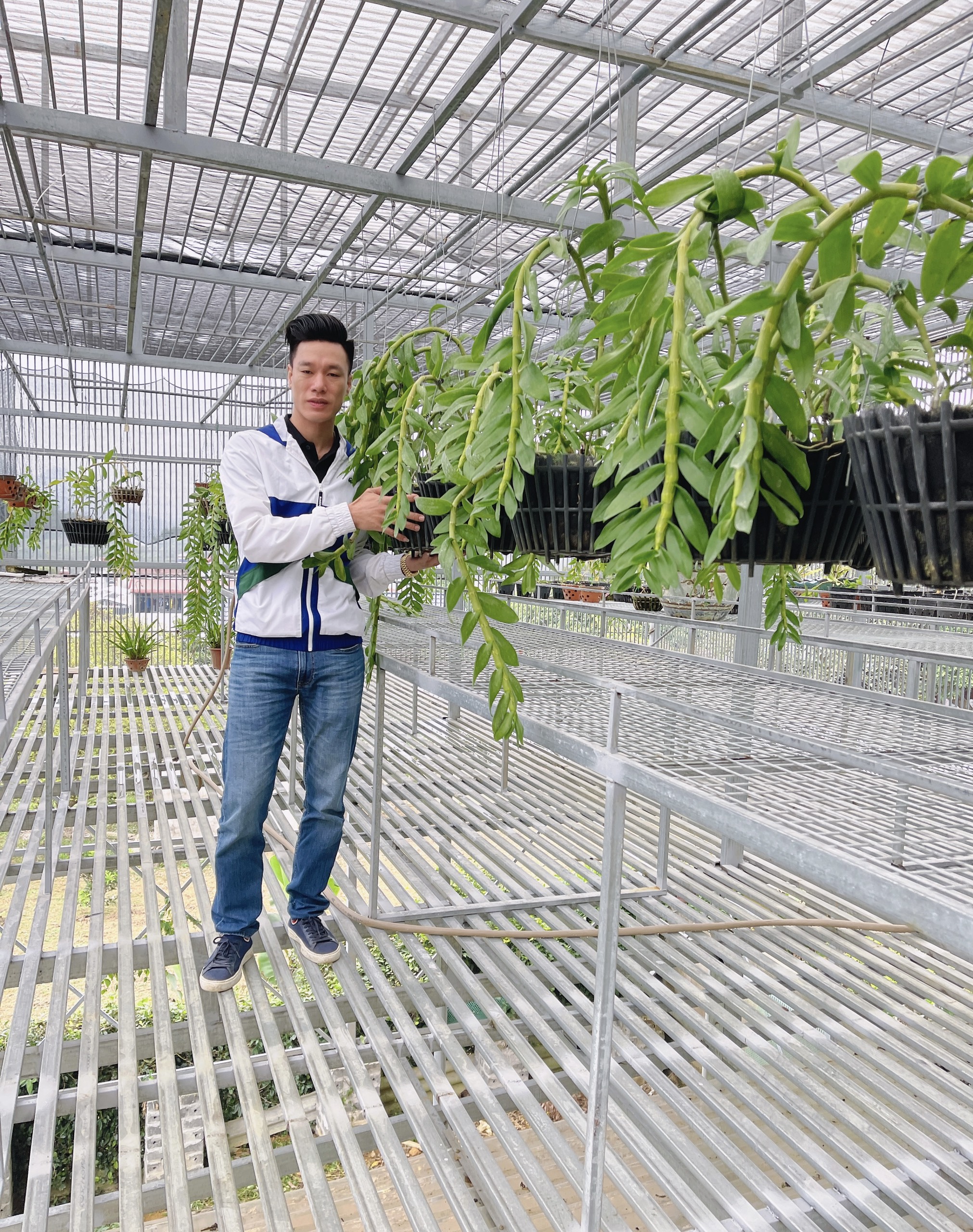 &Ocirc;ng chủ vườn lan Vũ Ho&agrave;ng Giang với vườn lan gi&aacute; trị g&acirc;y sốt cộng đồng mạng - Ảnh 3.