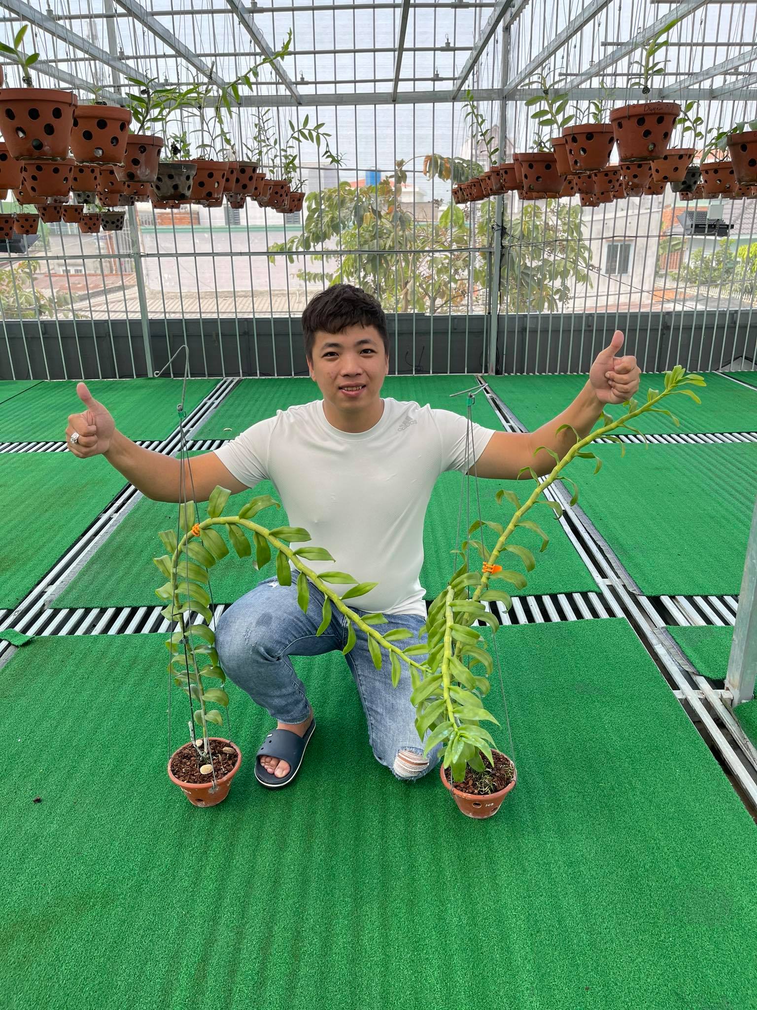 &Ocirc;ng chủ vườn lan Huỳnh Vũ: Từ ch&agrave;ng trai tr&ocirc;ng xe đến gia t&agrave;i hoa lan gi&aacute; trị - Ảnh 5.