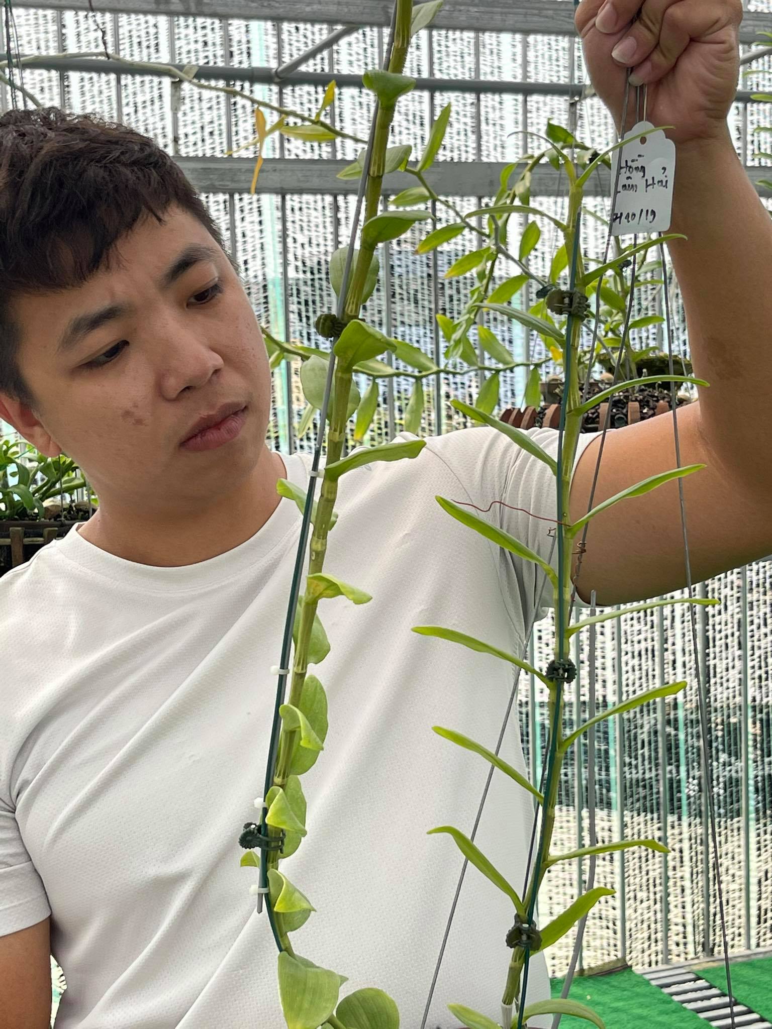 &Ocirc;ng chủ vườn lan Huỳnh Vũ: Từ ch&agrave;ng trai tr&ocirc;ng xe đến gia t&agrave;i hoa lan gi&aacute; trị - Ảnh 1.