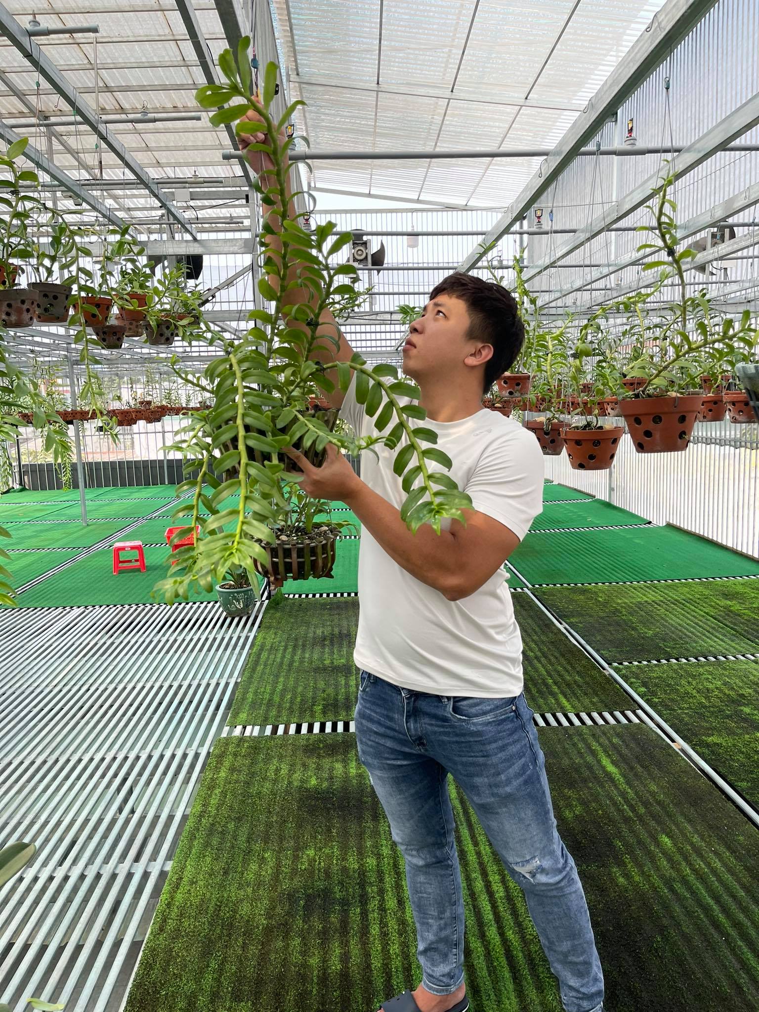 &Ocirc;ng chủ vườn lan Huỳnh Vũ: Từ ch&agrave;ng trai tr&ocirc;ng xe đến gia t&agrave;i hoa lan gi&aacute; trị - Ảnh 4.