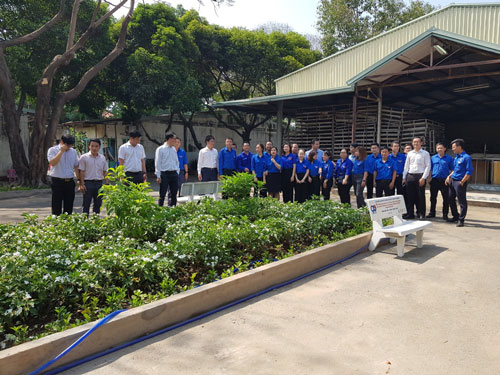 Tăng cường mảng xanh cho khu lưu trú công nhân