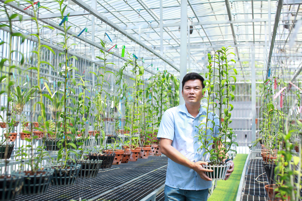 Nghệ nh&acirc;n Dần Ng&ocirc; v&agrave; c&acirc;u chuyện của người chơi lan c&ocirc;ng phu xứ Nghệ - Ảnh 1.