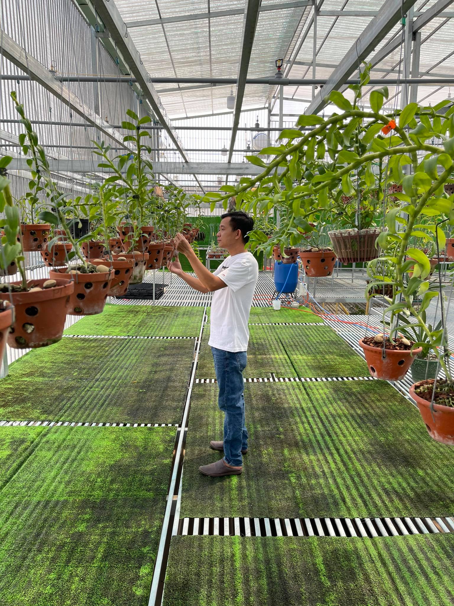 &Ocirc;ng chủ vườn lan Phạm Minh Minh nổi tiếng, được y&ecirc;u mến đến kh&ocirc;ng ngờ - Ảnh 4.