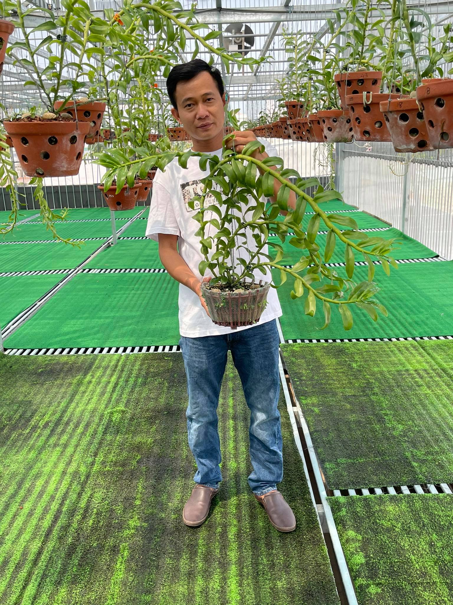 &Ocirc;ng chủ vườn lan Phạm Minh Minh nổi tiếng, được y&ecirc;u mến đến kh&ocirc;ng ngờ - Ảnh 1.