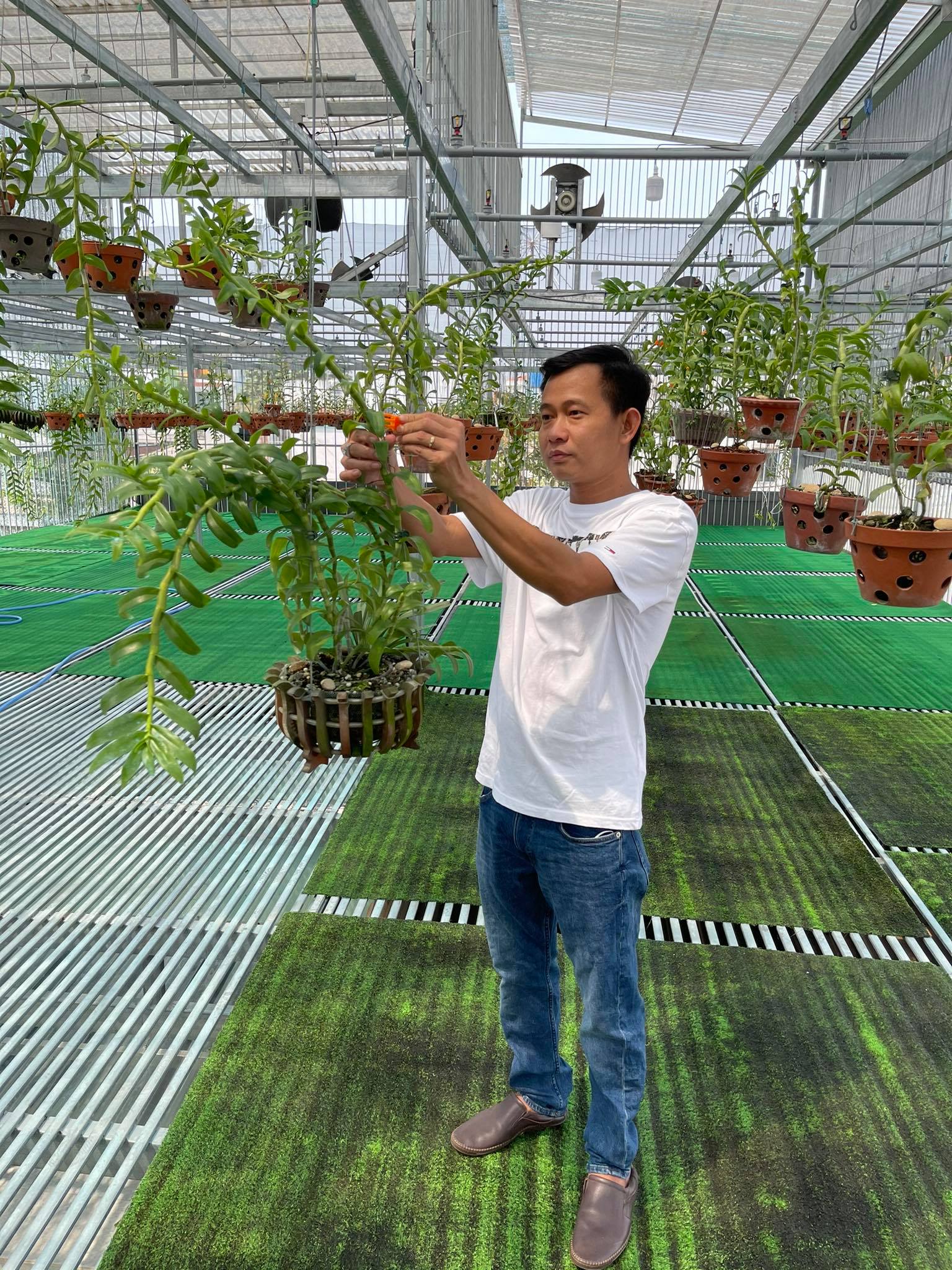 &Ocirc;ng chủ vườn lan Phạm Minh Minh nổi tiếng, được y&ecirc;u mến đến kh&ocirc;ng ngờ - Ảnh 3.